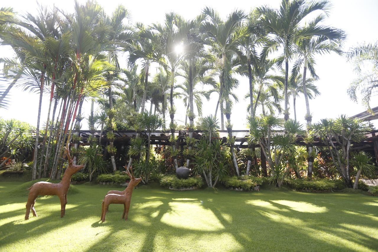 Victoria'S Haven Bed and Breakfast Dumaguete City Buitenkant foto